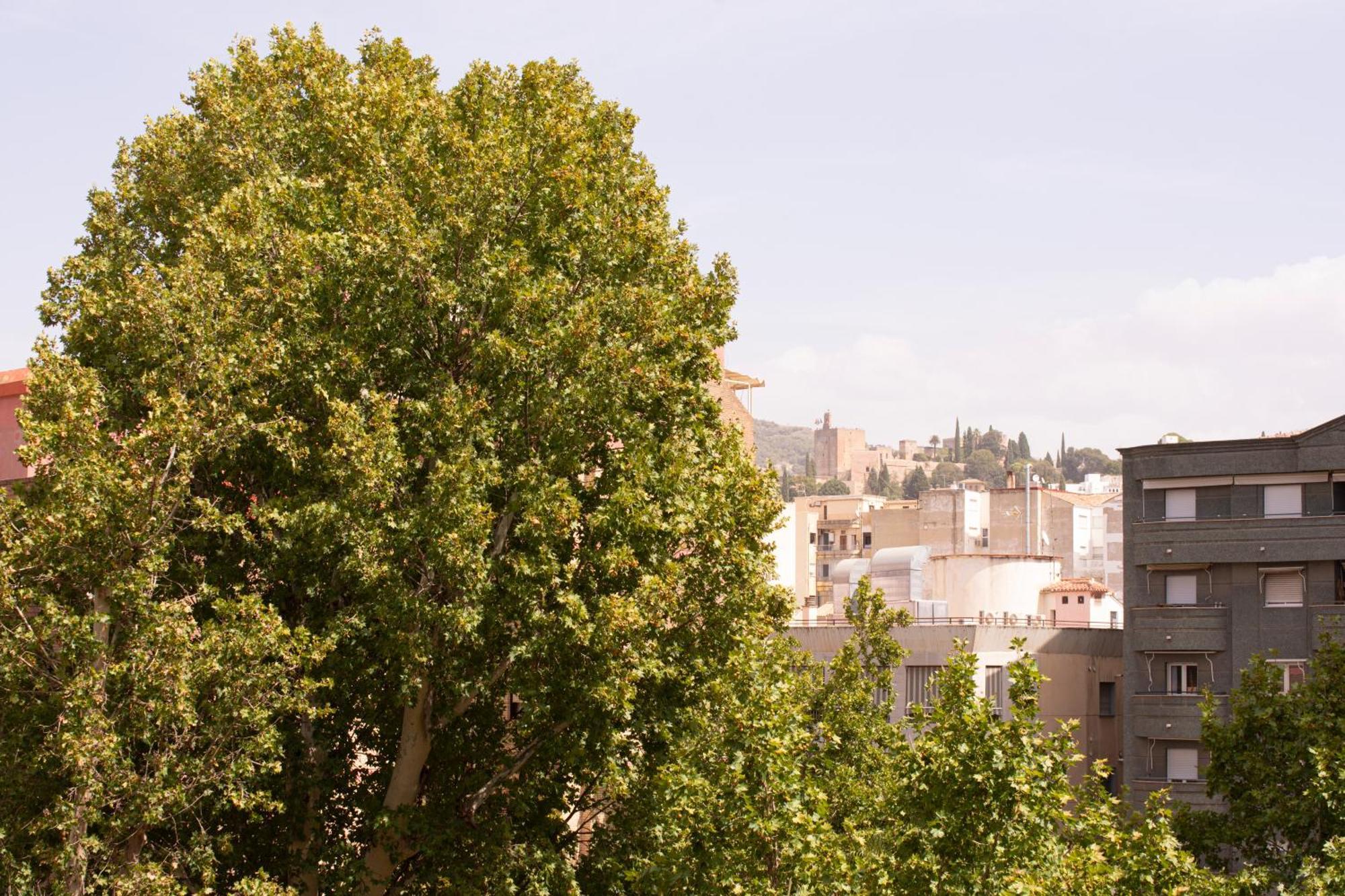 Apartamentos Centro Granada Eksteriør bilde